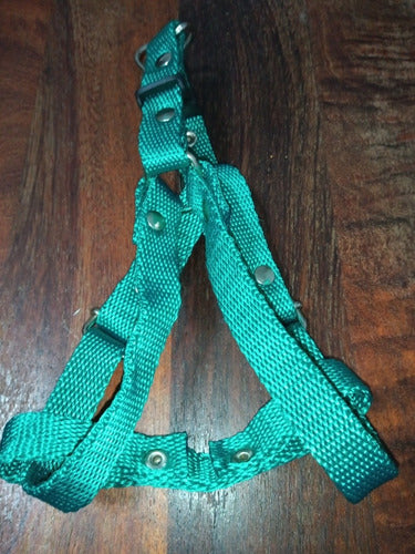 Camican Adjustable Harness for Small Dogs 30 Cm Petcamican 0