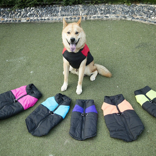 Premium Dog Clothing - Waterproof - Superior Quality 1