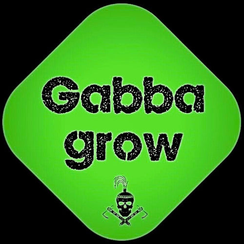 Geotextile Fabric Plant Pots Pochita 60L - Gabba Grow 2