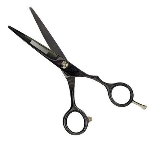 Professional Hairdressing Scissors Kit - Black 3