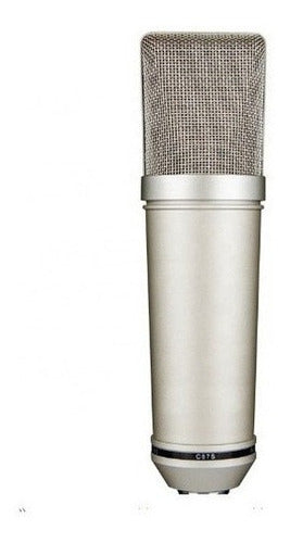 Hügel BV-97 Cardioid Condenser Microphone with Spider Support and Windshield 0