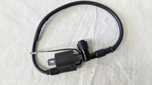 Ignition Coil with Cover Gilera Smash 110 Zb 110 Trip 3