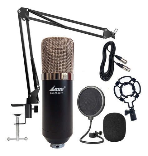 Lane BM-700 Microphone Condenser Kit with Arm, Filter, and Cable 0