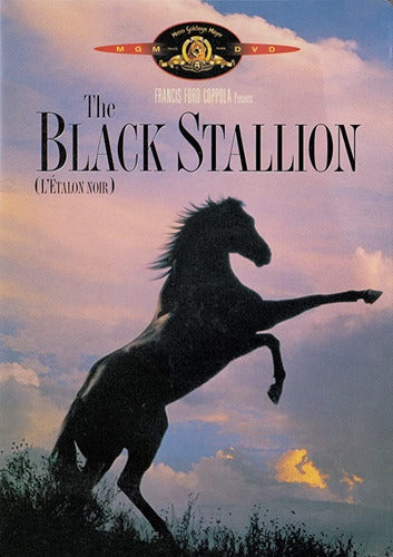 The Black Stallion - The Return of the Black Stallion - Horseback Riding - 2 DVDs 0