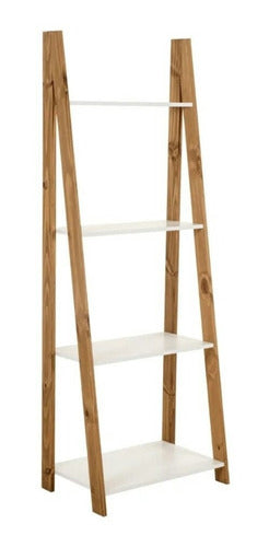 Ladder Shelves (Decorative and Useful) 0