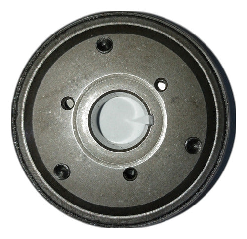 Incomplete Starter Clutch (Without Bearing) Zan Pro 2