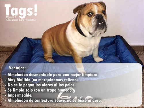 Tags Moises Cucha Colchon Para Perros 100 X 70 1