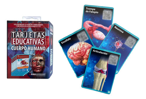 Flashcards Tarjetas Educativas Cuerpo Humano - 125 Fichas 0