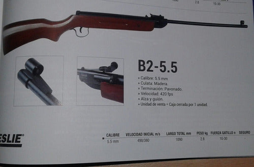 Leslie B2 .22 Caliber Air Rifle - 380 FPS 1