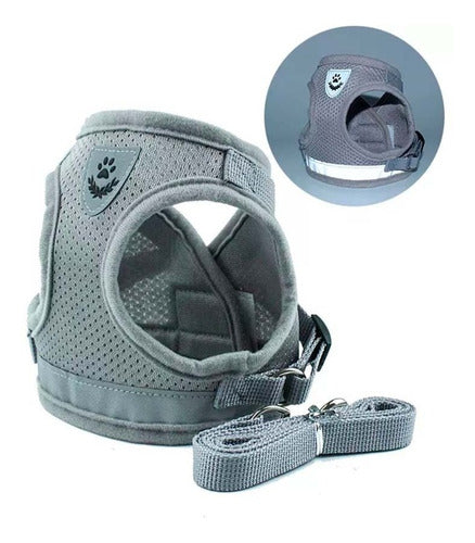 Padded Harness with Leash for Small Dogs and Cats - Various Sizes 20