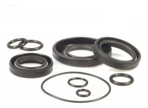 RMS Vespa Primavera 125 Seal Kit with O-Ring 0