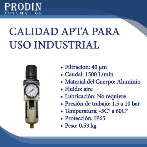 Pressure Regulating Filter with Pressure Gauge and Metal Protection 3