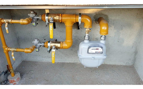 Salustri Natural Gas Regulator 16 Nm3/h 1