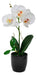 Artificial Orchid with Ceramic Planter 0