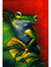 Toland Home Garden Tranquil Tree Frog Garden Flag 12x18 0