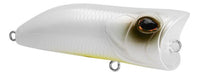 Marine Ram Popper 60 Fishing Lure 9g Ideal for Tarariras and Doradillos 1