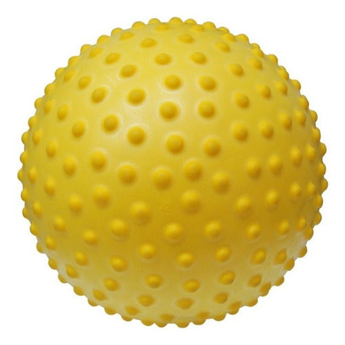 Bola Sensyball 20cm Gymnic -cravo-massagem-fisioterapia 0