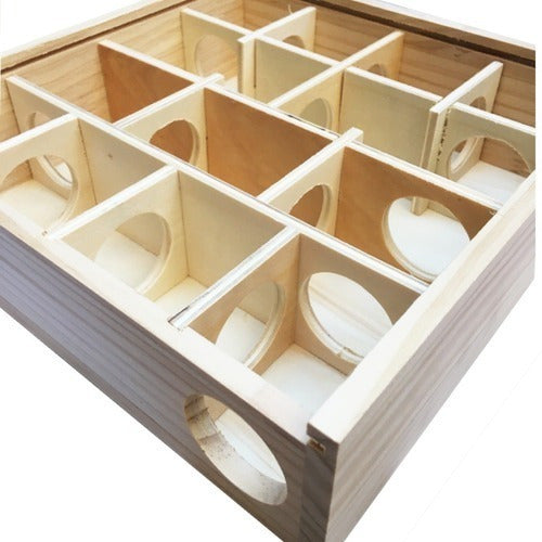 Wooden Maze for Syrian, Russian, and Dwarf Hamsters - Guaranteed Fun 6