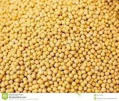 Mostaza Amarilla En Grano  X 1kg  India 0