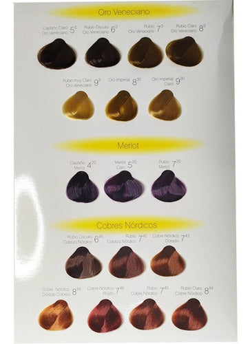 Angelis Color Sensations Cream Dye 60g 2