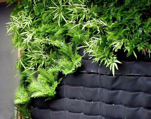 Geotextil Para Jardin Vertical, Muro Verde 300gr. 1m X 1,5m 2