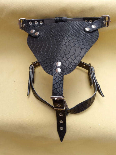 Petizoos Fuerzas Leather Harness for French Bulldog or Pug 0