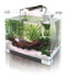 Mainar 70x40x30 Fish Tank Hot Sale By Mundo Acuatico 2