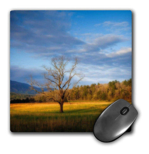 3Drose Usa, Tennessee, Pastos En Cades Cove Mouse Pad 0