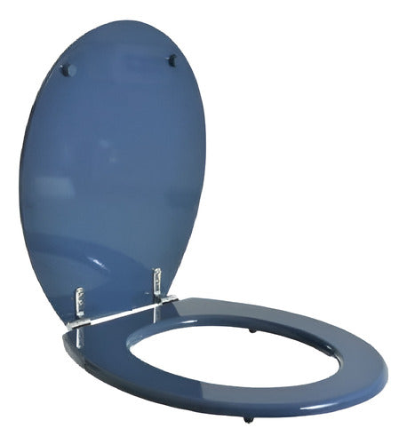 DMC Universal Toilet Seat Blue Chrome Hardware 0