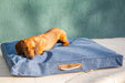 Mascote XL Washable Anti-Teardown Dog Bed 100x70x10 5