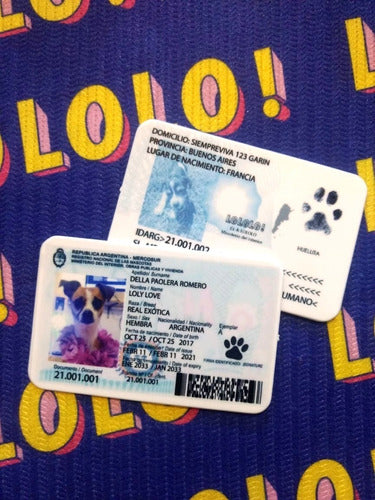 Pet ID Combo + Round Identification Tag 2