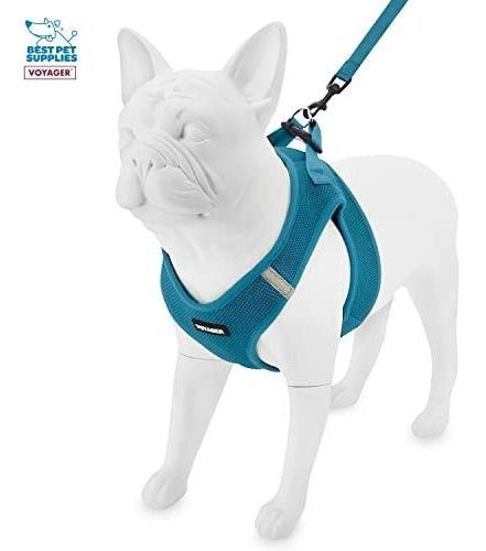 Best Pet Supplies Voyager Step-in Air All Weather Mesh Harness Plus Reflective Leash with Neoprene Handle T:M - 11 3