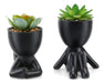 Woodword Suculentas Falsas, Mini Plantas Suculentas Negro, 2 7