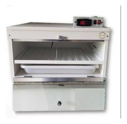 Golden Automatic Incubator 120 Chicken Eggs 1