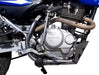 Gaspar Ringuelet Shield Protections for Motomel Skua / Honda XR125l - Free Shipping! 6