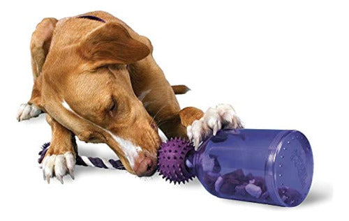 PremieRpet Petsafe Dog Toy with Food Dispenser and Busy Buddy 0