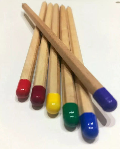 Bulk Plantable Eco Friendly Pencils with Shipping x100 Units 0