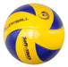 CALUMA Volleyball Set with Ball, Antenna Poles, and 3m Net 2