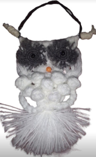 Handmade White Macrame Hanging Owl 0