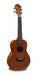 LARKYUQI Concert Ukulele - Wood Colors + Case 5