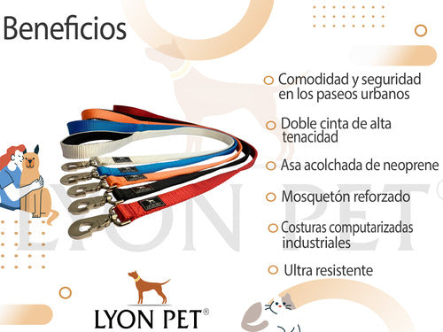 Lyon Pet Ergonomic Harness and Max Resistance Padded Leash 3