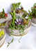 Casona.arg Succulent and Cactus Souvenirs and Centerpieces 6