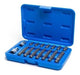 Ruhlmann Ribe Bit Set 16 Piece with Carry Case 1