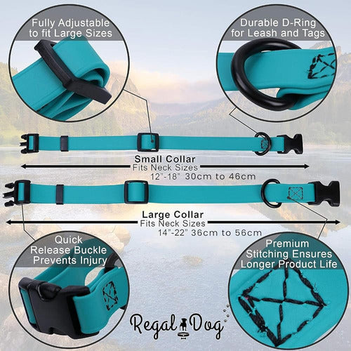 Regal Dog Products Waterproof Sky Blue Small Collar 3