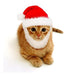 Prymal Comfort Santa Dog Cat Costume 0