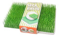 Grass Design Dish Drying Rack Tray 24 x 24 cm 4