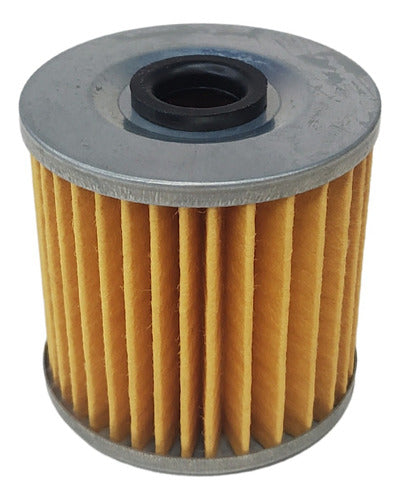 Kawasaki Original Oil Filter Honda KLR 650 Tuamoto 0