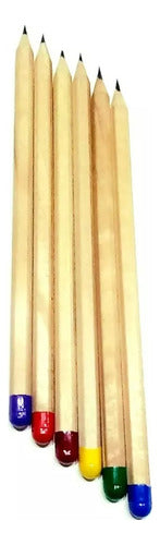 Bulk Plantable Eco Friendly Pencils with Shipping x100 Units 2