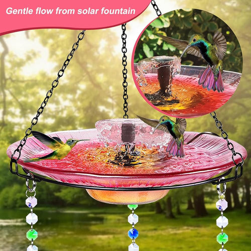 Headak Life Hummingbird Feeder Glass Con Baño Colgante Para 4