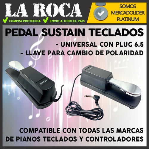 Pedal Sustain Piano Teclados Todas Marcas 3